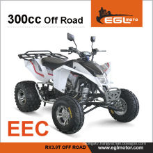 300cc EEC Certification Sports Buggy Atv